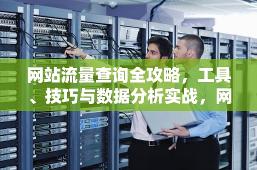 网站流量查询全攻略，工具、技巧与数据分析实战，网站流量查询工具