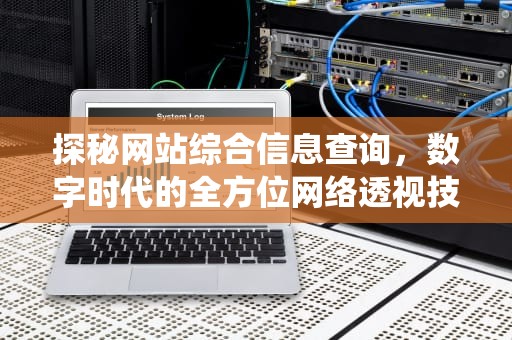 探秘网站综合信息查询，数字时代的全方位网络透视技术，网站综合信息查询系统