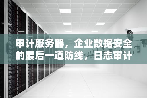 审计服务器，企业数据安全的最后一道防线，日志审计服务器