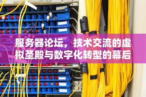 服务器论坛，技术交流的虚拟圣殿与数字化转型的幕后推手，服务器论坛交流