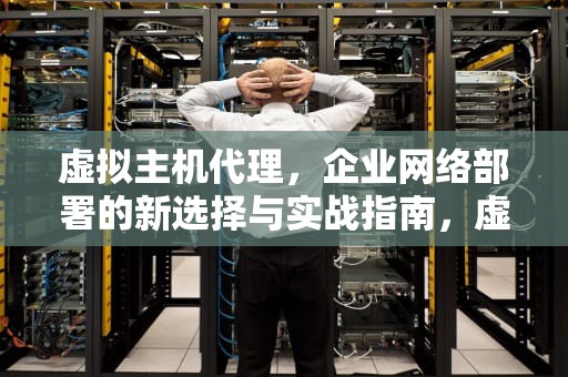 虚拟主机代理，企业网络部署的新选择与实战指南，虚拟主机代理分销
