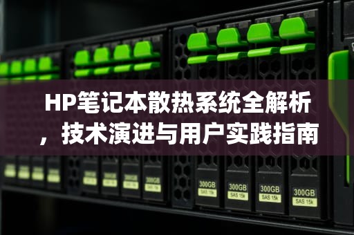 HP笔记本散热系统全解析，技术演进与用户实践指南，hp笔记本散热不好怎么办