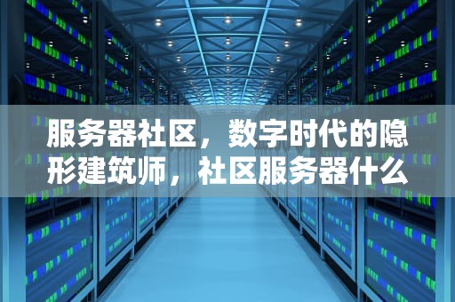 服务器社区，数字时代的隐形建筑师，社区服务器什么意思