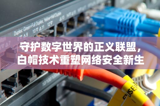 守护数字世界的正义联盟，白帽技术重塑网络安全新生态，白帽技术 内容