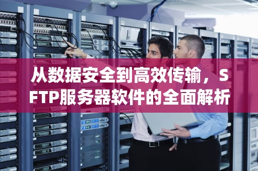 从数据安全到高效传输，SFTP服务器软件的全面解析与选型指南，sftp服务器软件windows