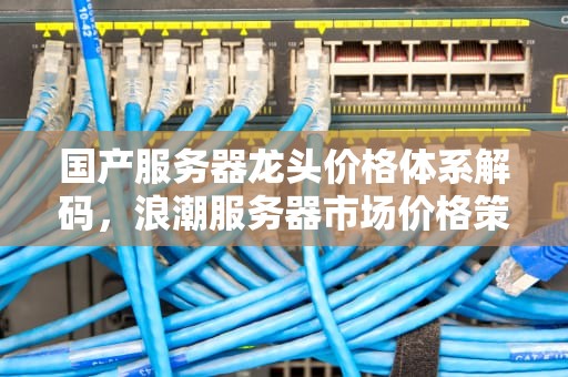 国产服务器龙头价格体系解码，浪潮服务器市场价格策略与成本控制之道，浪潮服务器价格
