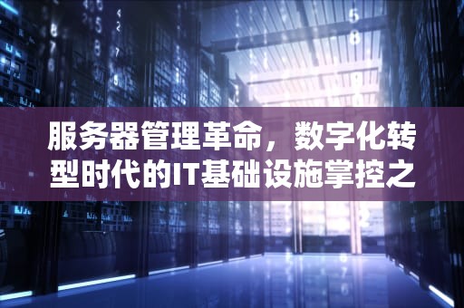 服务器管理革命，数字化转型时代的IT基础设施掌控之道，视频管理服务器