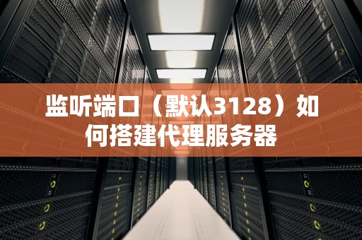 监听端口（默认3128）如何搭建代理服务器