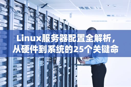 Linux服务器配置全解析，从硬件到系统的25个关键命令指南，linux查看服务器配置参数