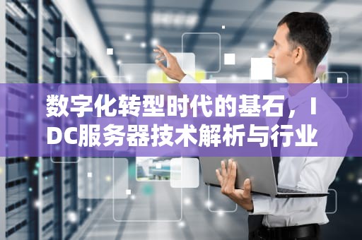 数字化转型时代的基石，IDC服务器技术解析与行业变革，idc服务器是什么意思