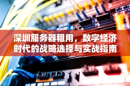 深圳服务器租用，数字经济时代的战略选择与实战指南，深圳服务器租用平台有那些