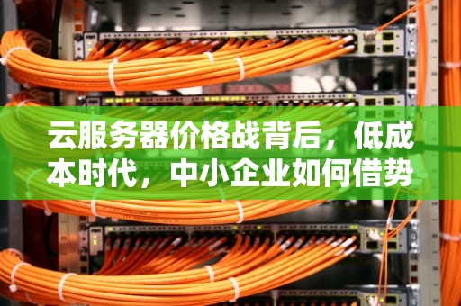 云服务器价格战背后，低成本时代，中小企业如何借势突围？便宜云服务器5元一个月