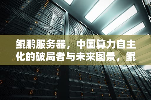 鲲鹏服务器，中国算力自主化的破局者与未来图景，鲲鹏服务器是哪个公司的