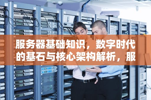 服务器基础知识，数字时代的基石与核心架构解析，服务器基础知识全解