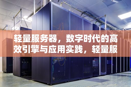 轻量服务器，数字时代的高效引擎与应用实践，轻量服务器和云服务器的区别