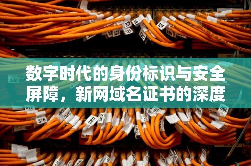 数字时代的身份标识与安全屏障，新网域名证书的深度解读，新网域名证书在哪下载