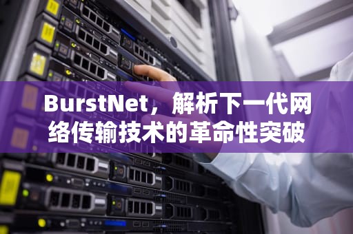 BurstNet，解析下一代网络传输技术的革命性突破