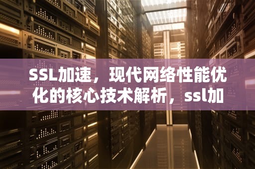 SSL加速，现代网络性能优化的核心技术解析，ssl加速器