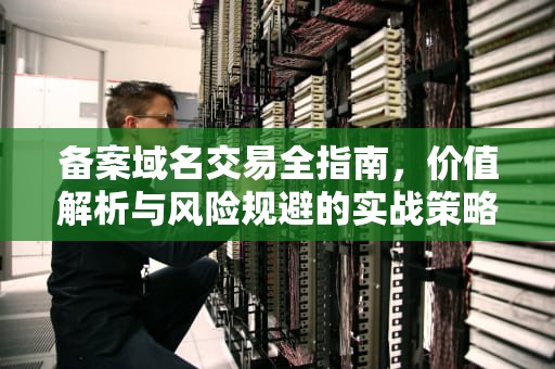 备案域名交易全指南，价值解析与风险规避的实战策略，备案域名出售购买