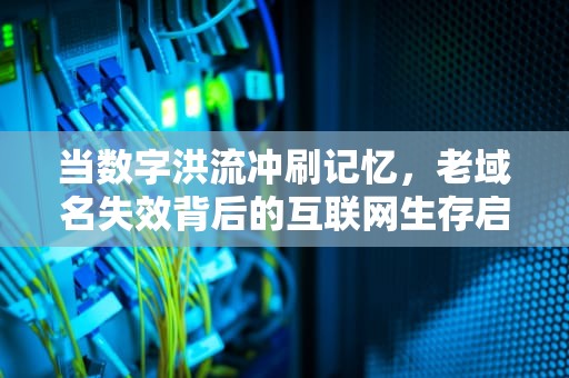 当数字洪流冲刷记忆，老域名失效背后的互联网生存启示，老域名失效请用户记下12328解决方法