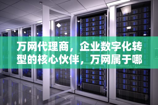 万网代理商，企业数字化转型的核心伙伴，万网属于哪类服务商