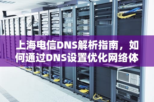上海电信DNS解析指南，如何通过DNS设置优化网络体验，上海电信dns地址