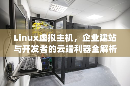 Linux虚拟主机，企业建站与开发者的云端利器全解析，Linux虚拟主机加速http
