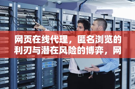 网页在线代理，匿名浏览的利刃与潜在风险的博弈，网页在线代理浏览