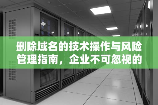 删除域名的技术操作与风险管理指南，企业不可忽视的数字资产处置策略，删除域名查询