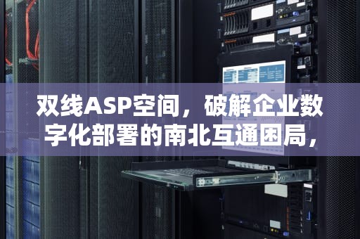 双线ASP空间，破解企业数字化部署的南北互通困局，双线性空间