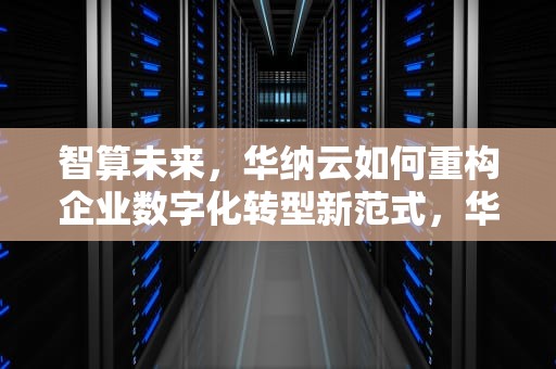 智算未来，华纳云如何重构企业数字化转型新范式，华纳云官网