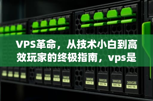 VPS革命，从技术小白到高效玩家的终极指南，vps是干嘛用的