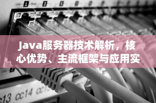 Java服务器技术解析，核心优势、主流框架与应用实践，我的世界java服务器