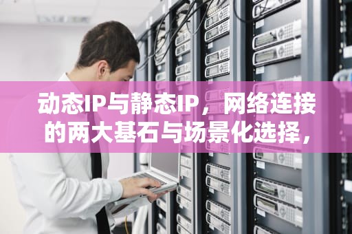 动态IP与静态IP，网络连接的两大基石与场景化选择，动态IP和静态IP是什么意思