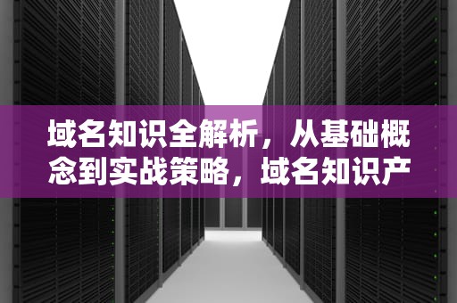 域名知识全解析，从基础概念到实战策略，域名知识产权
