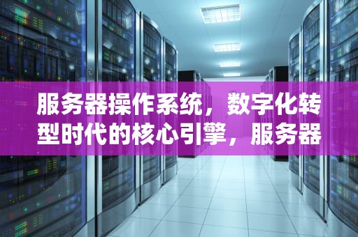 服务器操作系统，数字化转型时代的核心引擎，服务器的操作系统有哪些