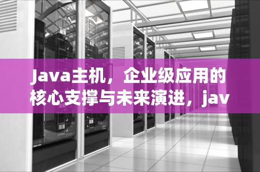 Java主机，企业级应用的核心支撑与未来演进，java主机游戏