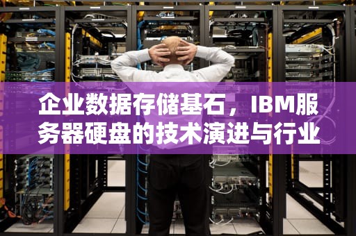 企业数据存储基石，IBM服务器硬盘的技术演进与行业应用解析，ibm服务器硬盘黄灯闪烁