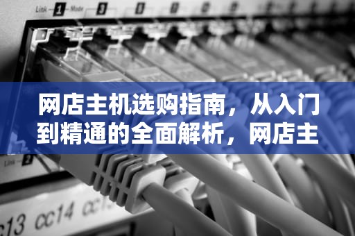 网店主机选购指南，从入门到精通的全面解析，网店主机配置