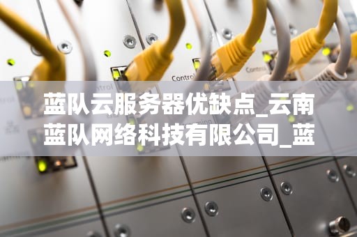 蓝队云服务器优缺点_云南蓝队网络科技有限公司_蓝队云服务器的优缺点分析