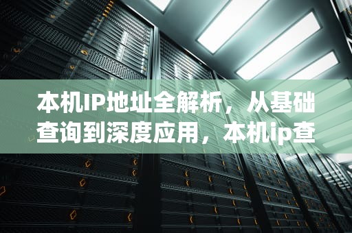 本机IP地址全解析，从基础查询到深度应用，本机ip查询地址查询