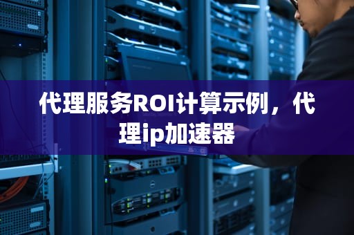 代理服务ROI计算示例，代理ip加速器
