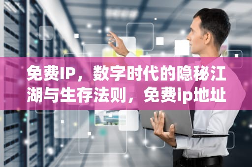 免费IP，数字时代的隐秘江湖与生存法则，免费ip地址修改器