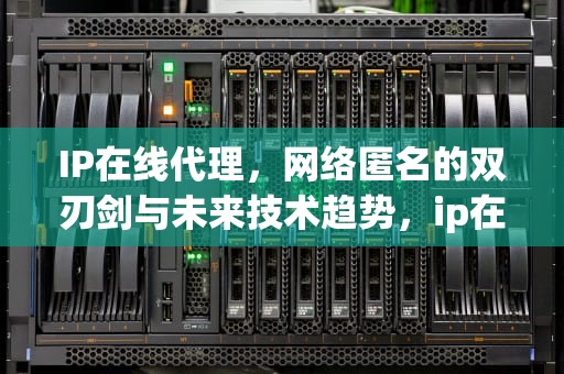 IP在线代理，网络匿名的双刃剑与未来技术趋势，ip在线代理免费