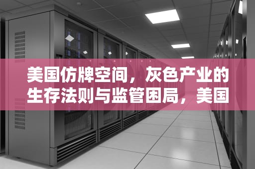 美国仿牌空间，灰色产业的生存法则与监管困局，美国仿牌平台
