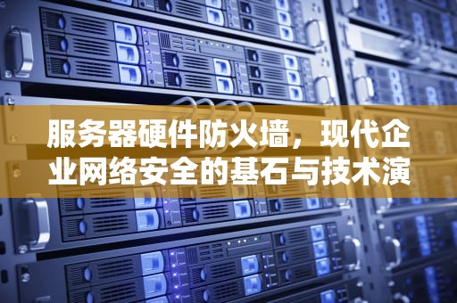 服务器硬件防火墙，现代企业网络安全的基石与技术演进，服务器硬件防火墙和软件防火墙可以都开吗