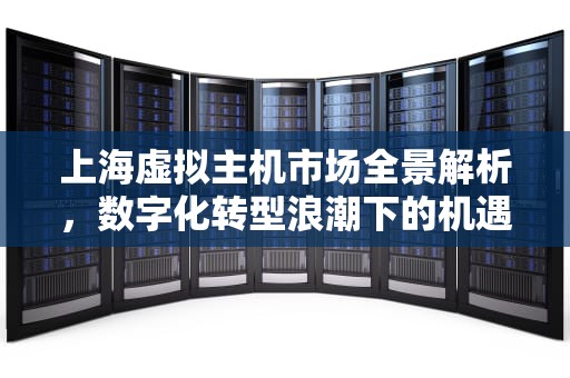 上海虚拟主机市场全景解析，数字化转型浪潮下的机遇与选择，上海虚拟主机生产厂家