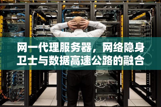 网一代理服务器，网络隐身卫士与数据高速公路的融合革命，网络代理服务器