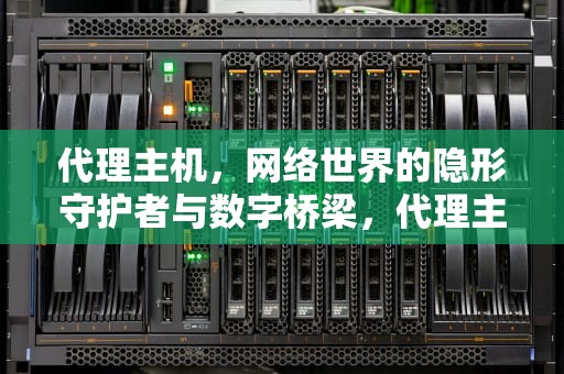 代理主机，网络世界的隐形守护者与数字桥梁，代理主机名要填什么