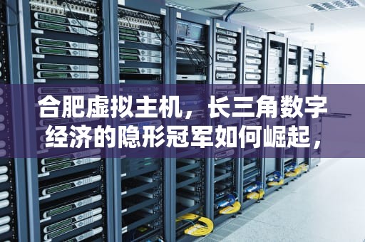 合肥虚拟主机，长三角数字经济的隐形冠军如何崛起，合肥虚拟主机生产厂家